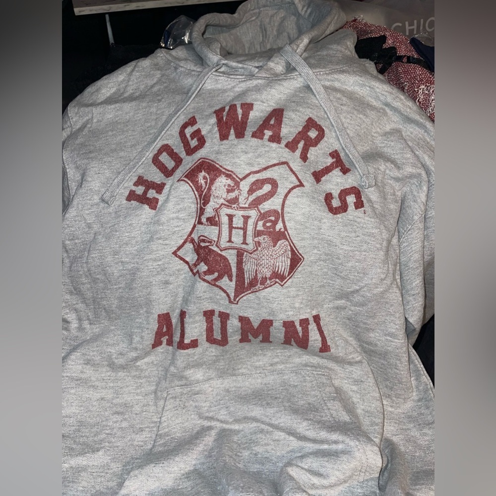 Unisex Harry Potter Hogwarts Alumni Pull Over Hoodie - Athletic Heather - Medium - Picture 4 of 6